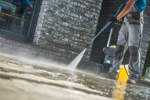 Best Solar Panel Cleaning  in Central Park, WA